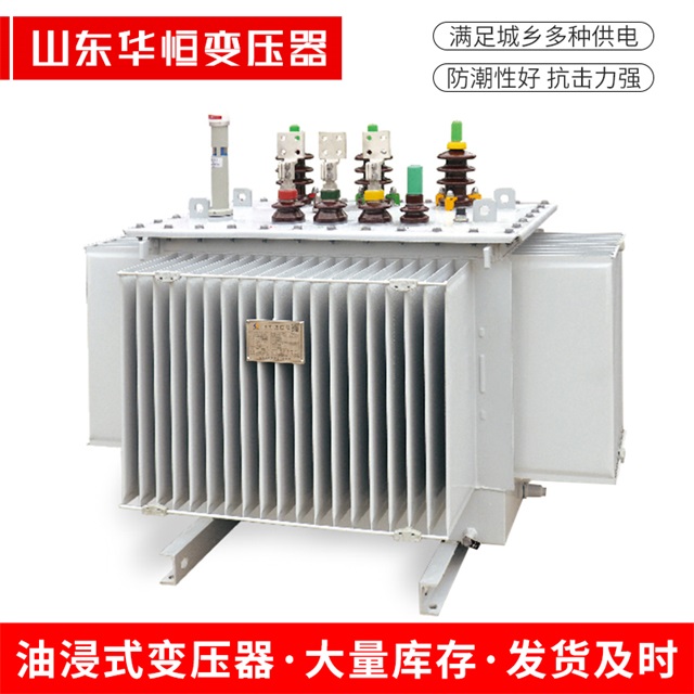 S13-10000/35阜城阜城阜城电力变压器
